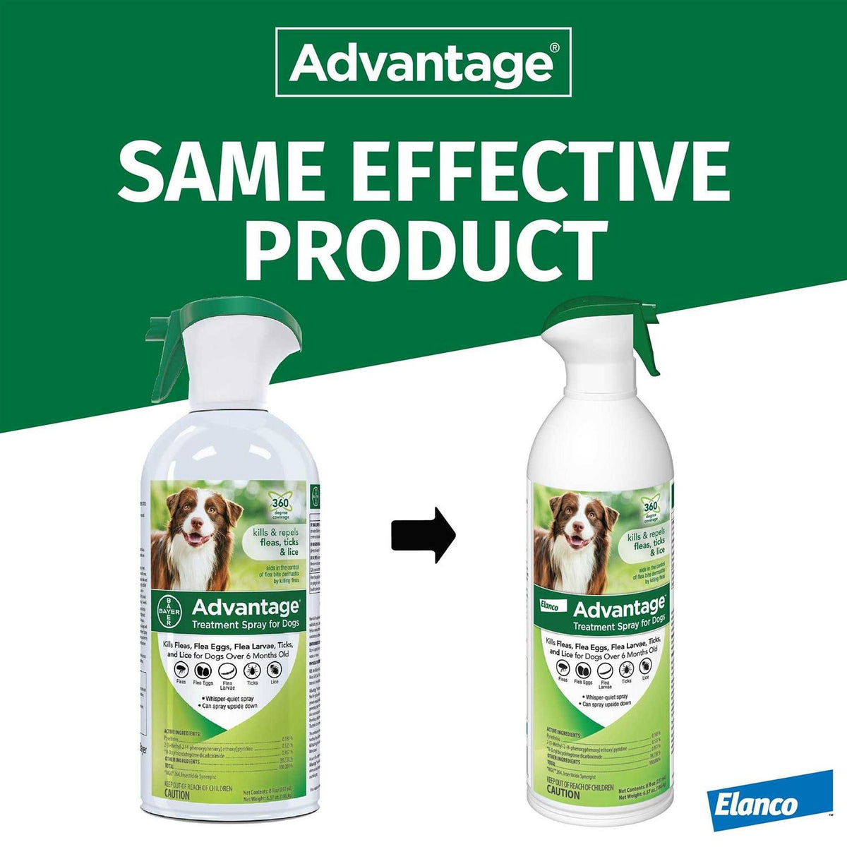 Flea & Tick Treatment Spray for Dogs S30611