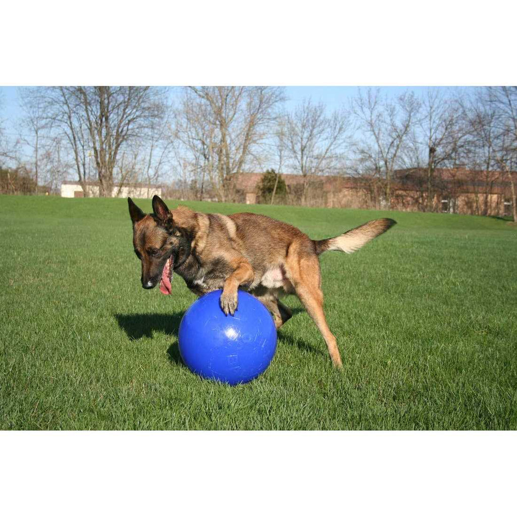 Push n Play Ball S155