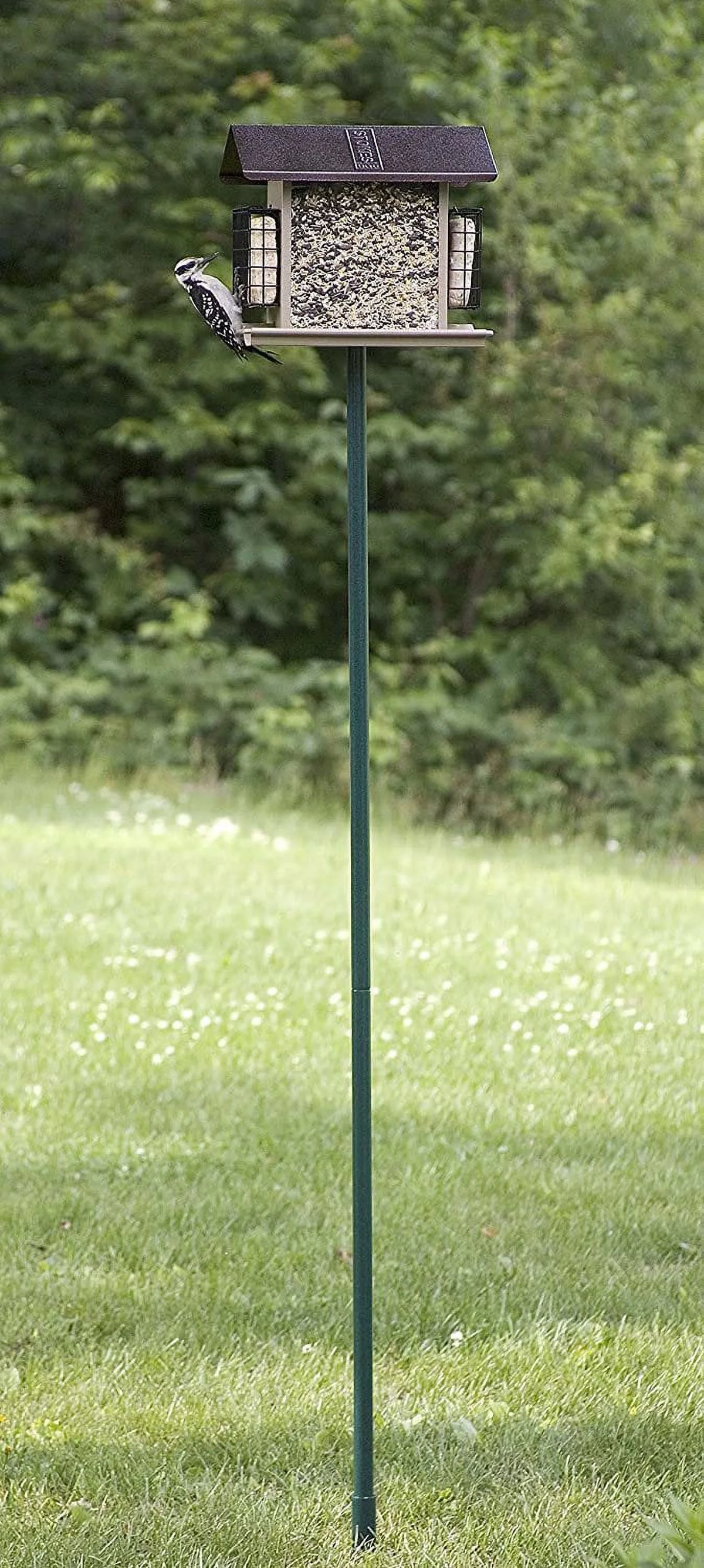 1-Inch Diameter 60-Inch Bird Feeder Pole G25436