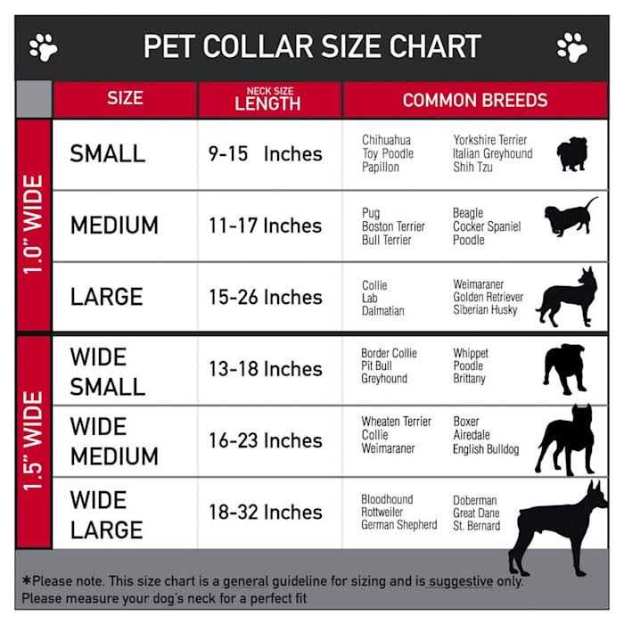 Dog Collar Seatbelt Buckle Y962316