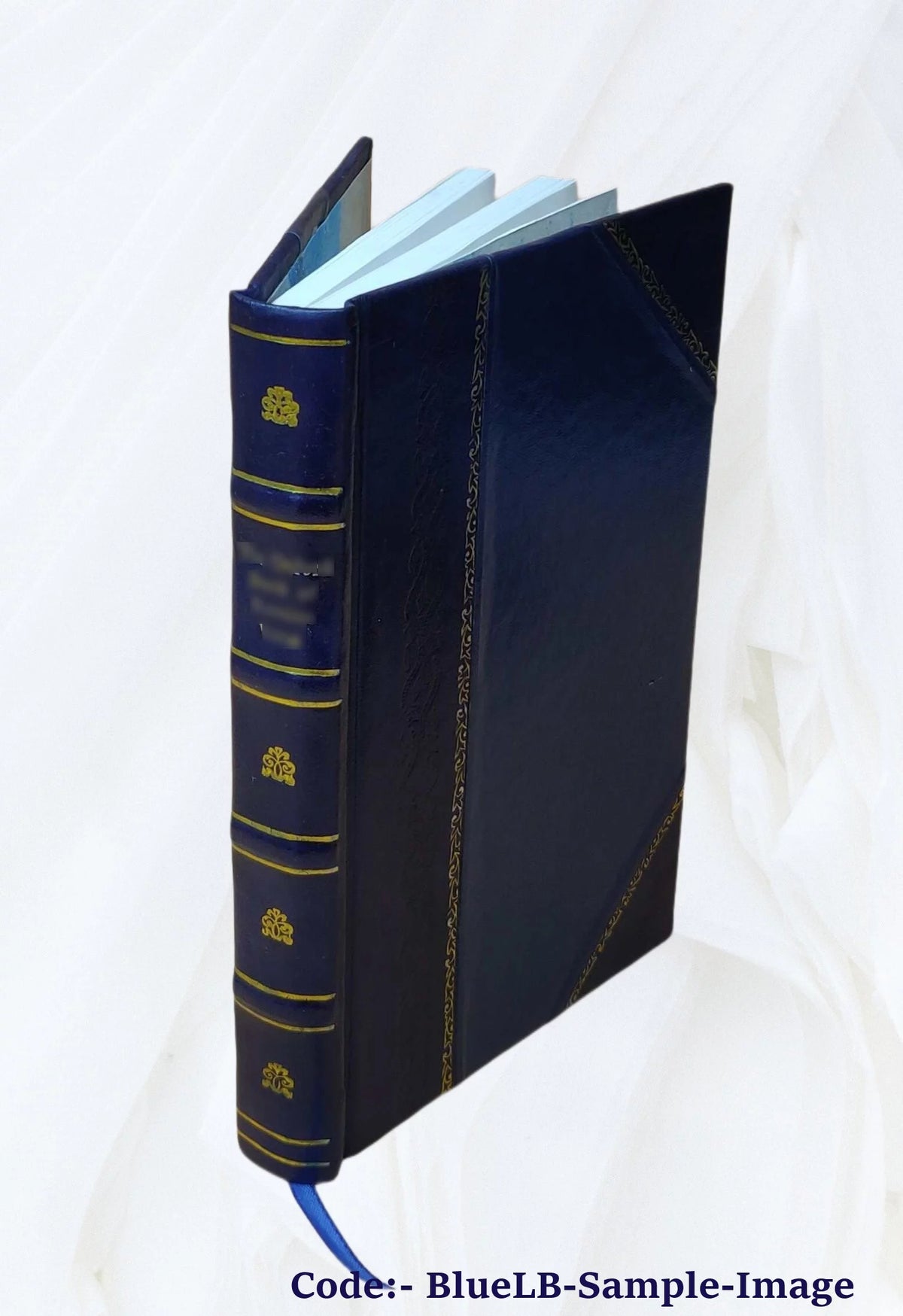 Leather Bound Book O73336