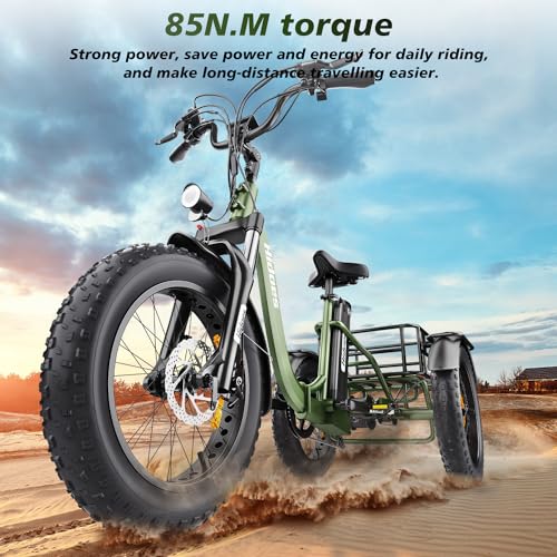 20"X 4.0" Fat Tire 48V 20Ah Lithium Battery 7 Speed Electric Tricycle U937