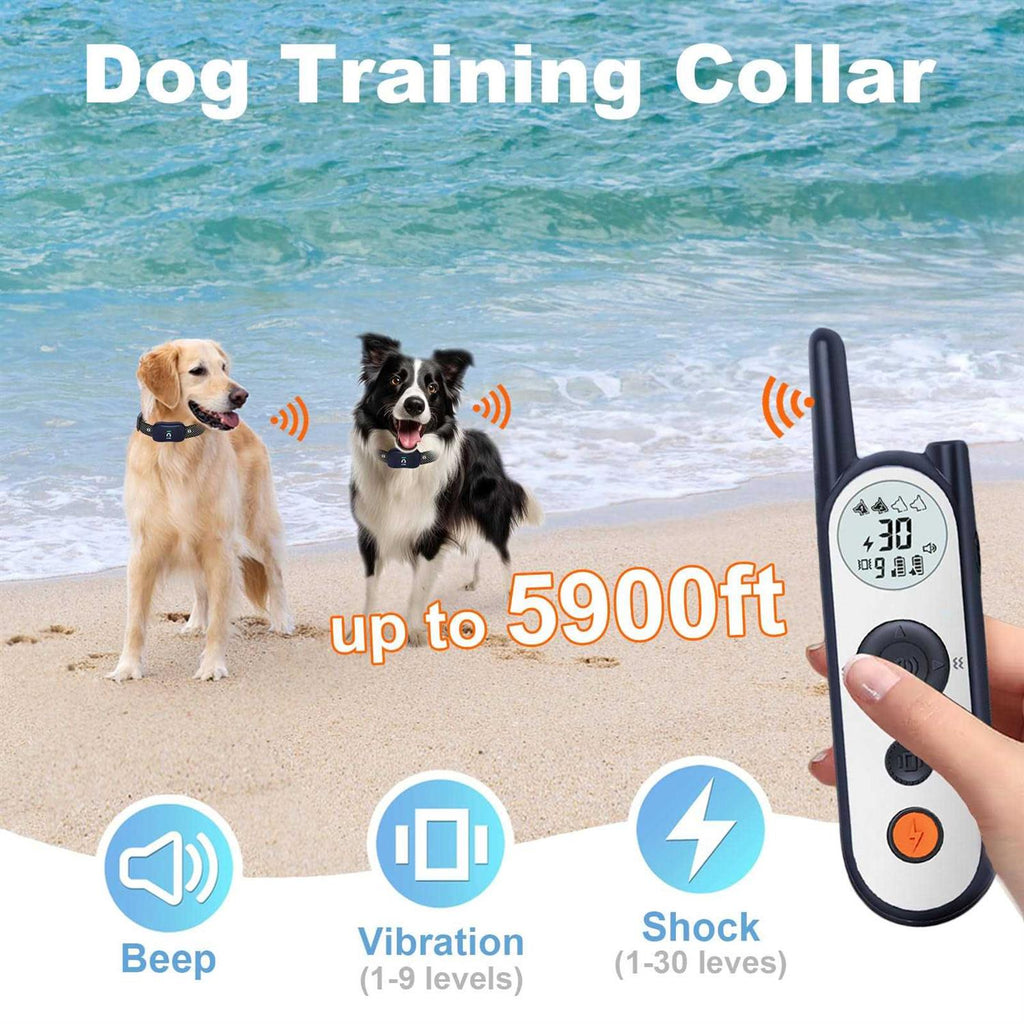 Wireless Dog Fence for 2 Dogs with Remote O124