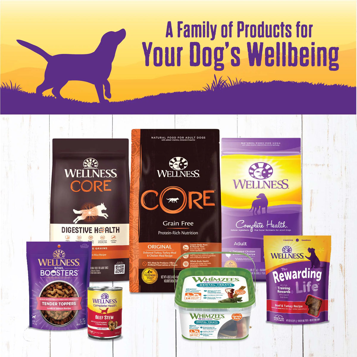 Natural Grain Free Canned Dog Food, Venison & Salmon Stew, 12.5-Ounce Can (Pack of 12) L821892