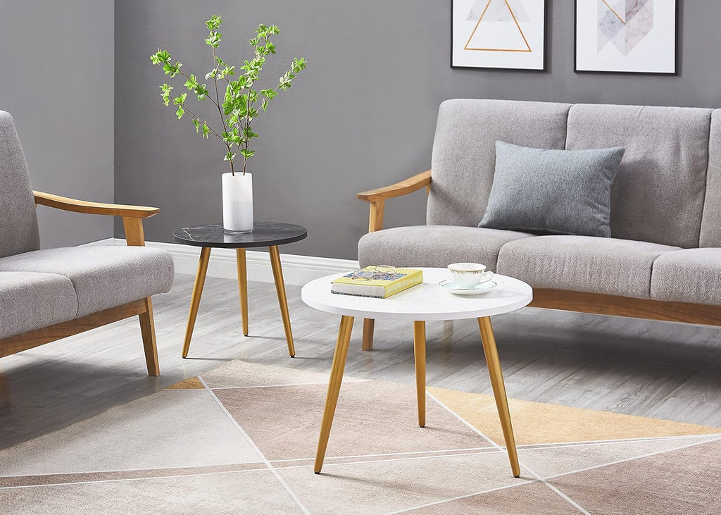 Nesting End Coffee Table Set of 2, White/Black T2018