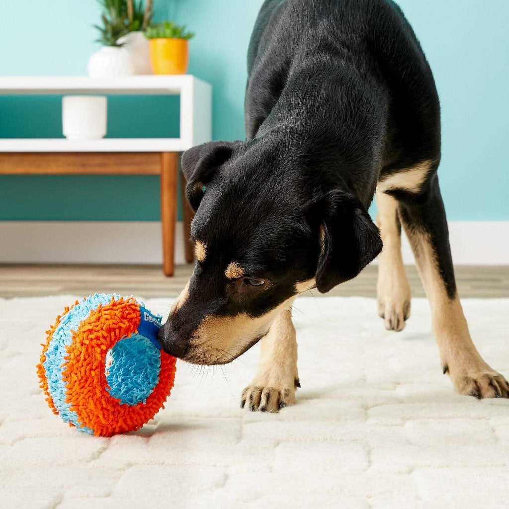 Indoor Roller Dog Toy O92606