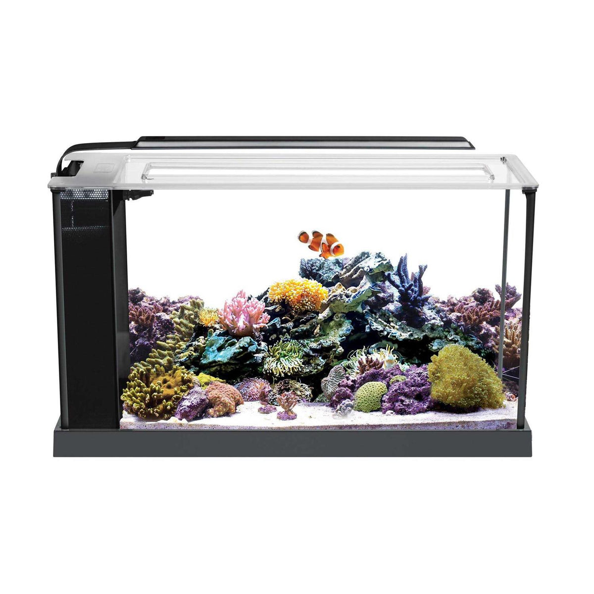 Aquarium Kit R6880