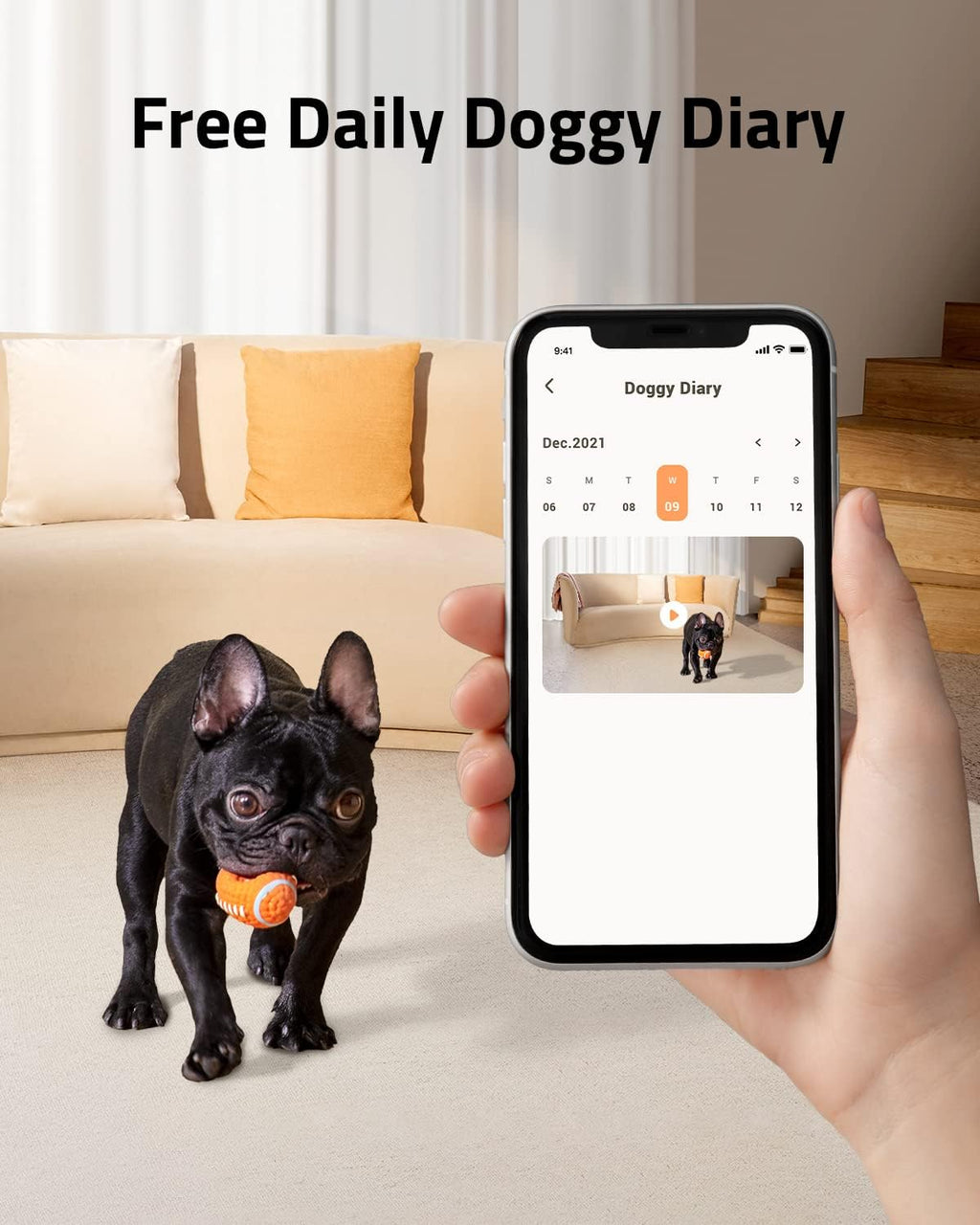 1080p Pet Dog Camera with Treat Dispenser O325