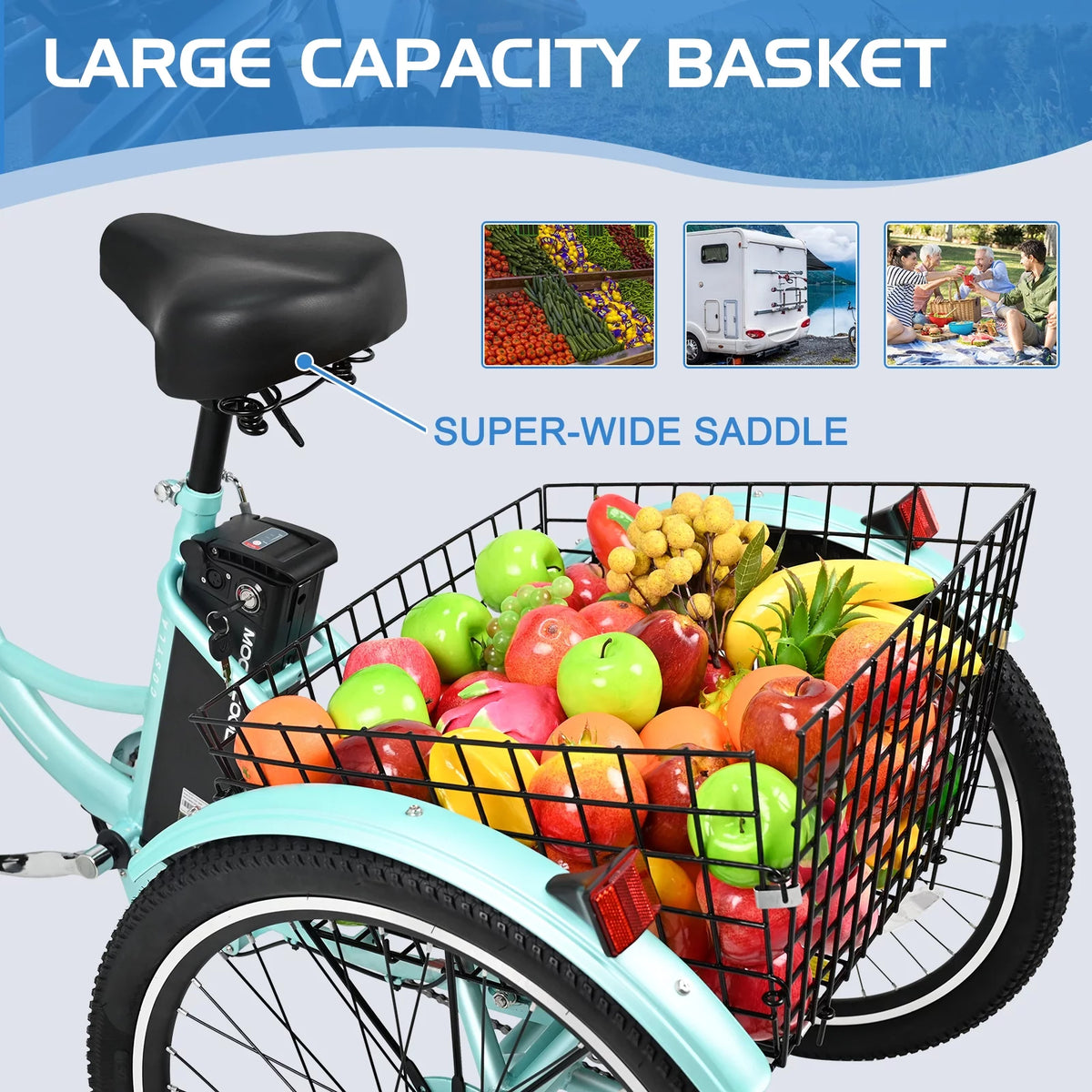 3 Wheel Electric Bike with Removable 36V 10Ah Lithium Battery Y858