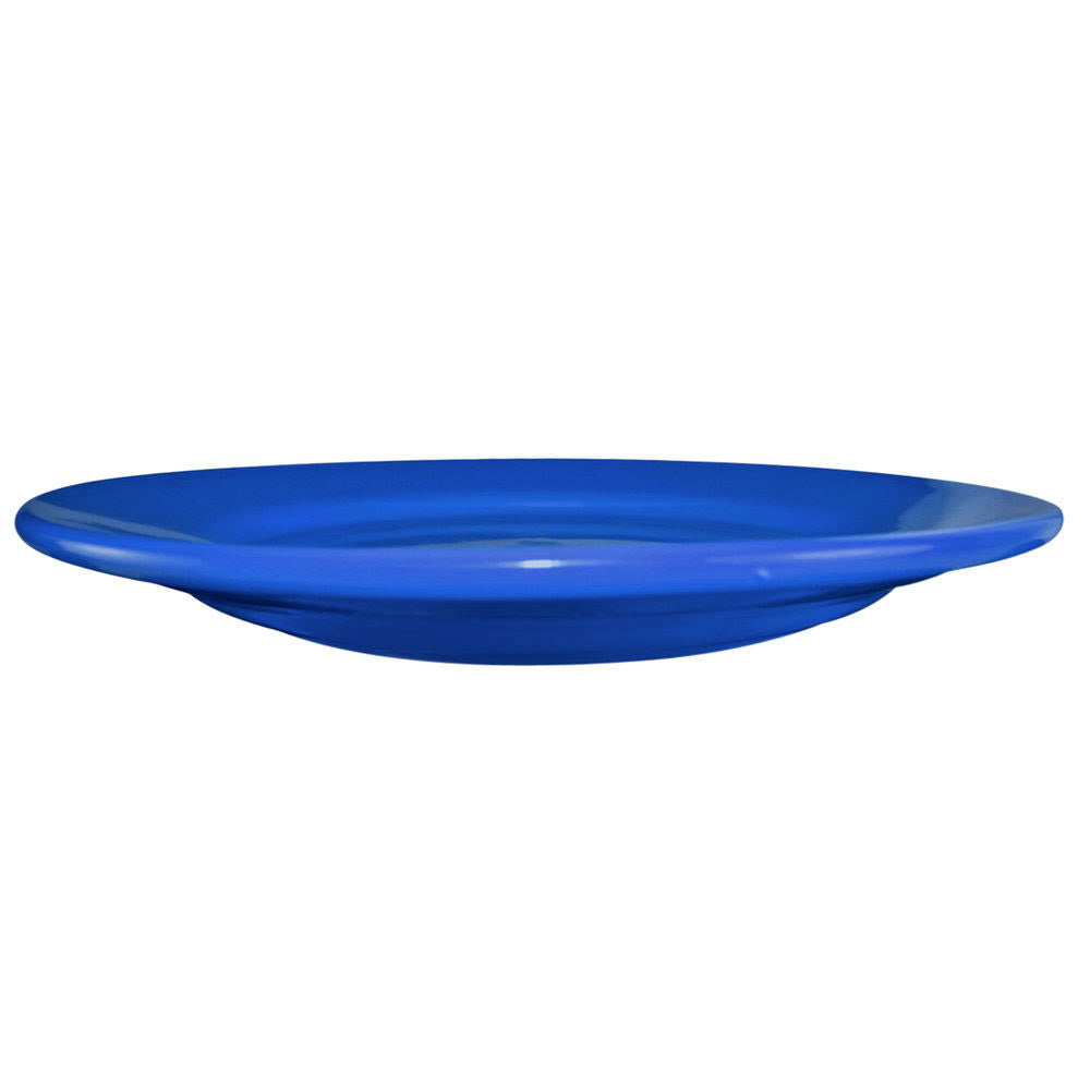 Light Blue Stoneware Wide Rim Plate W497