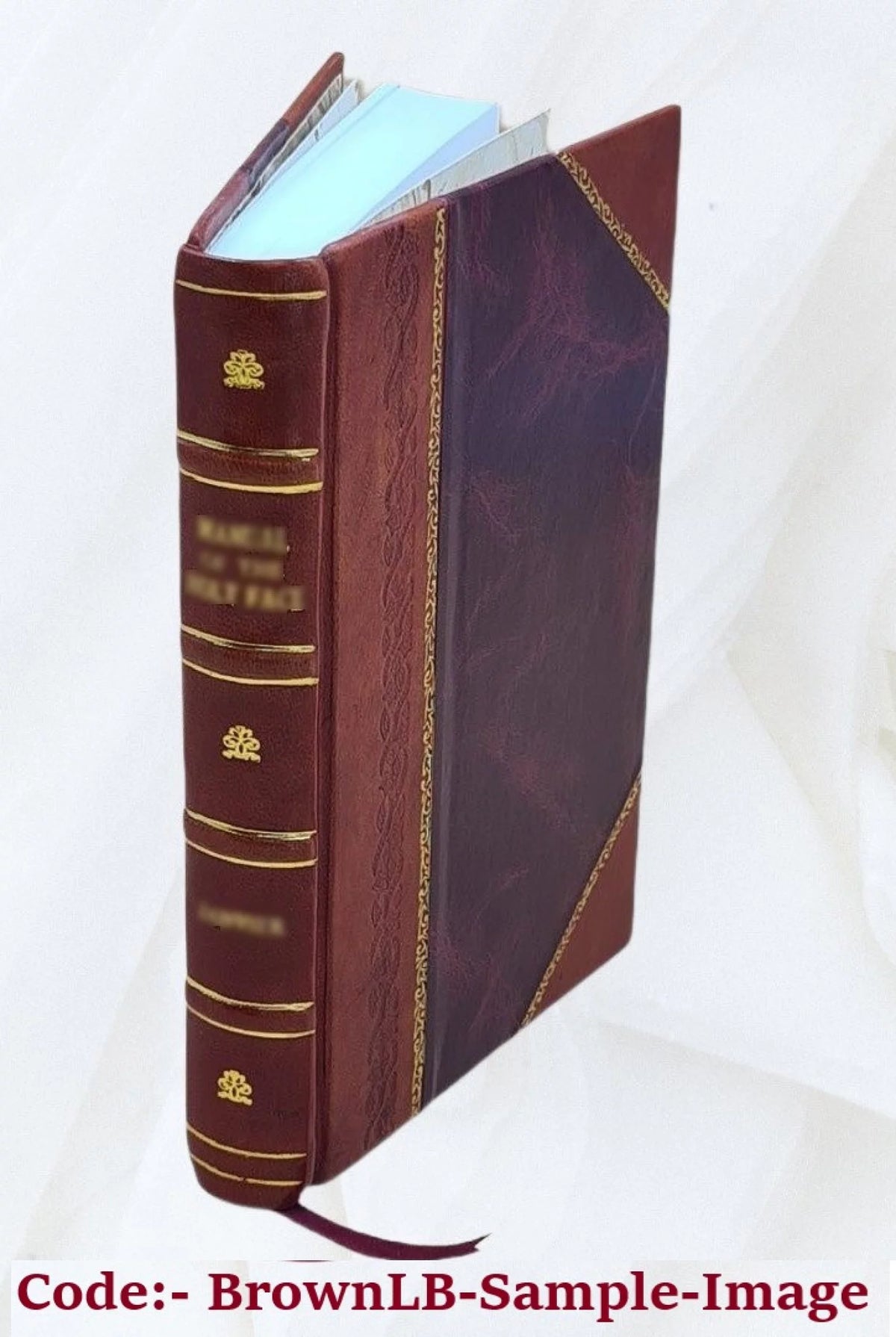 Leather Bound Book O73336