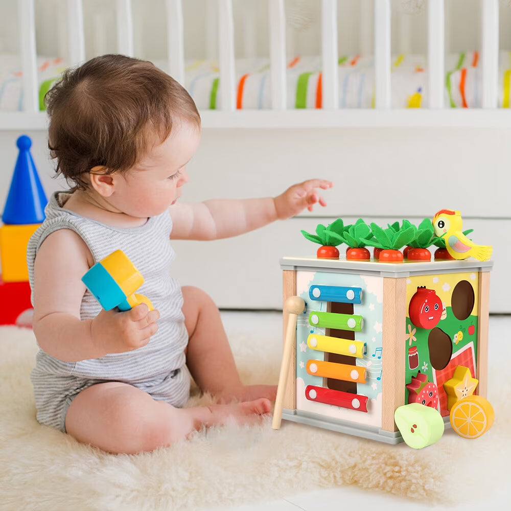 6-in-1 Wooden Blocks Shape Sorter Montessori Toys S92194
