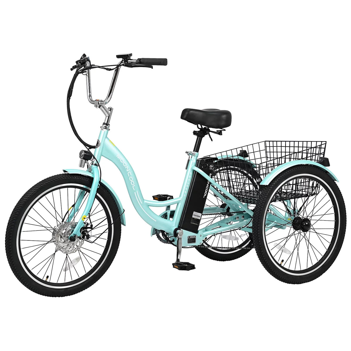 3 Wheel Electric Bike with Removable 36V 10Ah Lithium Battery Y858