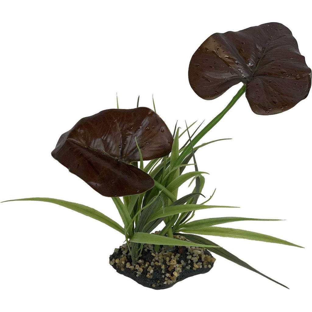 Canopy Plant P6060