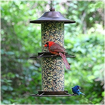 Panorama Bird Feeder U20977