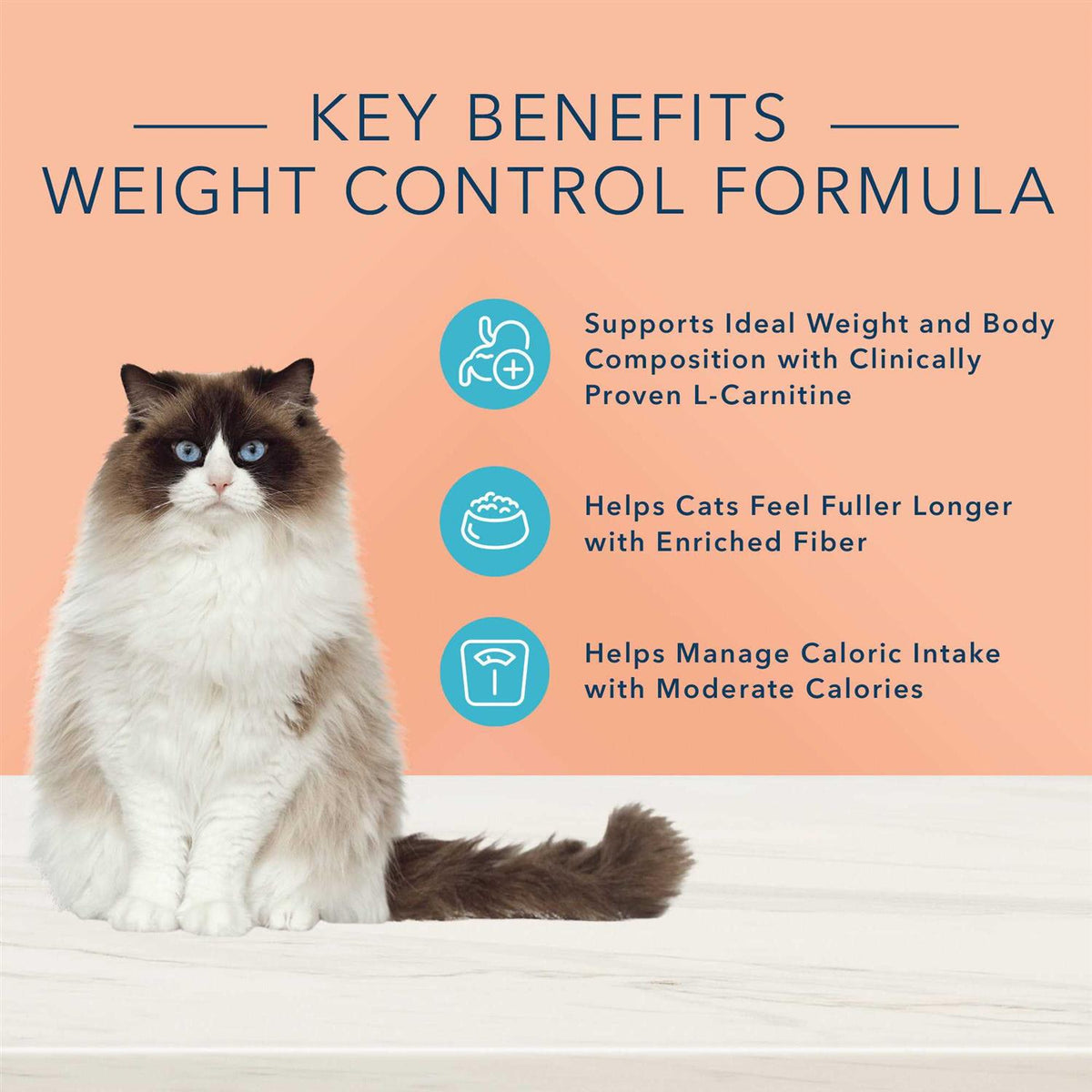 Blue Buffalo True Solutions Fit & Healthy Natural Weight Control Adult Wet Cat Food E6061