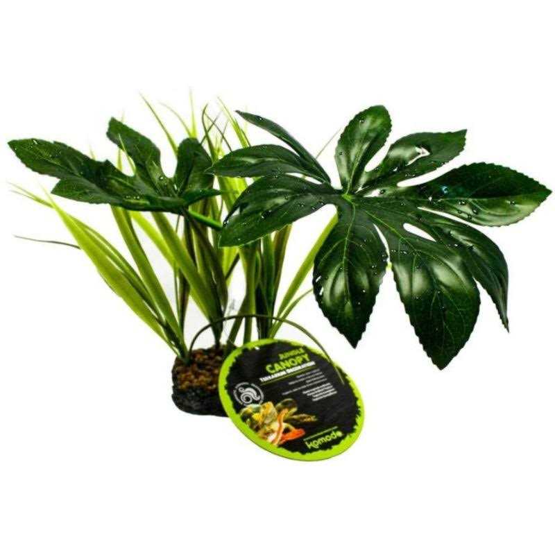 Canopy Plant P6060
