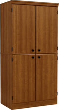 Pure Black 4-Door Storage Cabinet with Adjustable Shelves E216