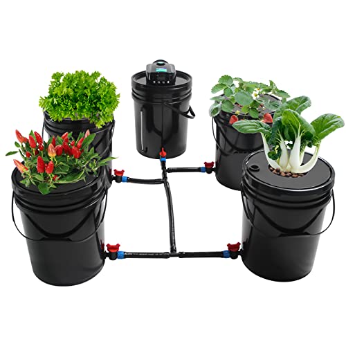 5 Gallon Deep Water Culture Hydroponic System N567998