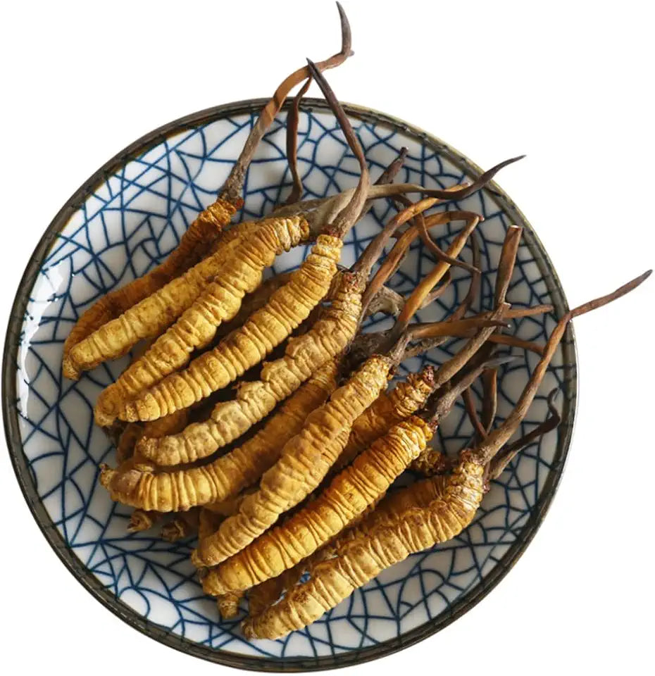 3 Grams Wild Cordyceps Sinensis F61735