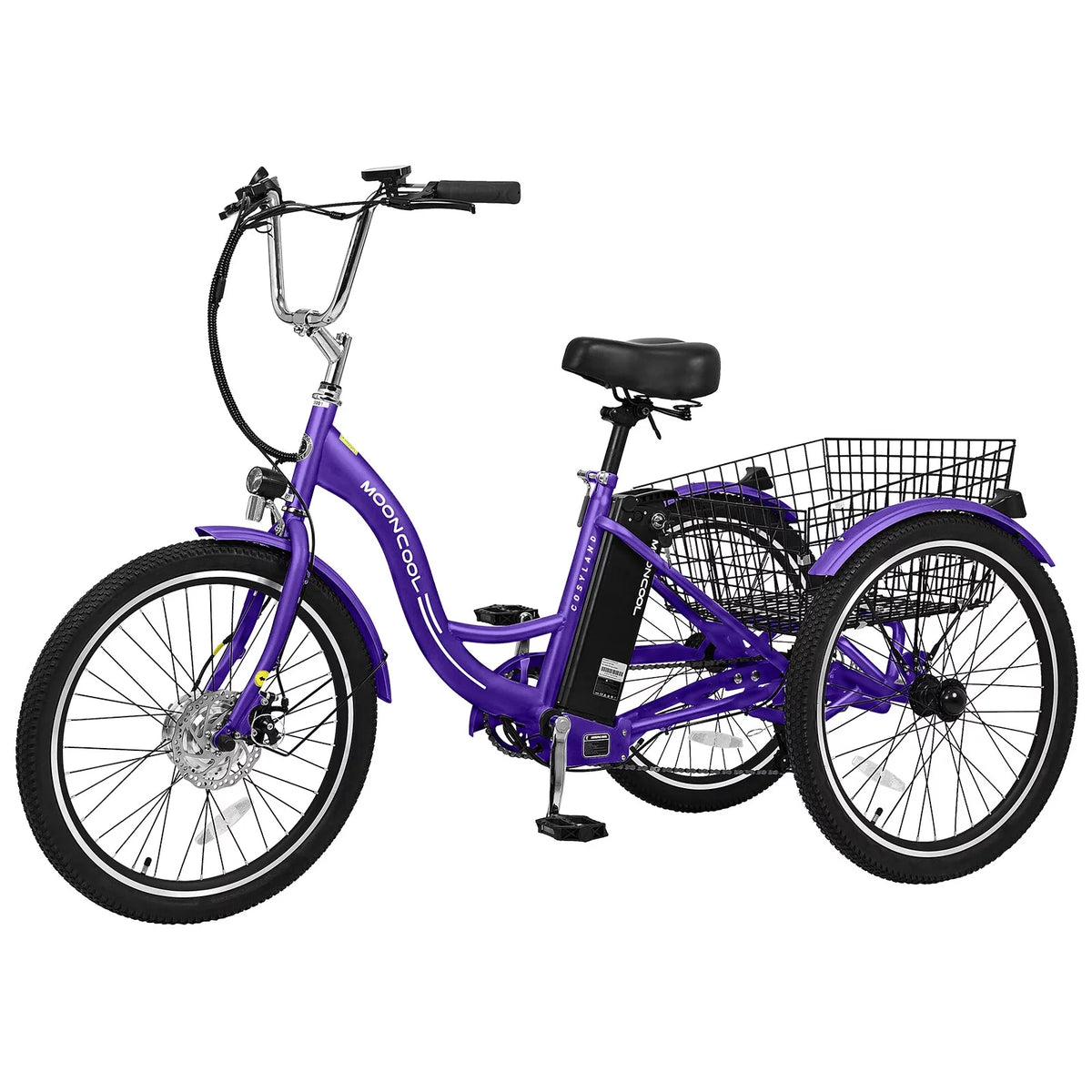 3 Wheel Electric Bike with Removable 36V 10Ah Lithium Battery Y858