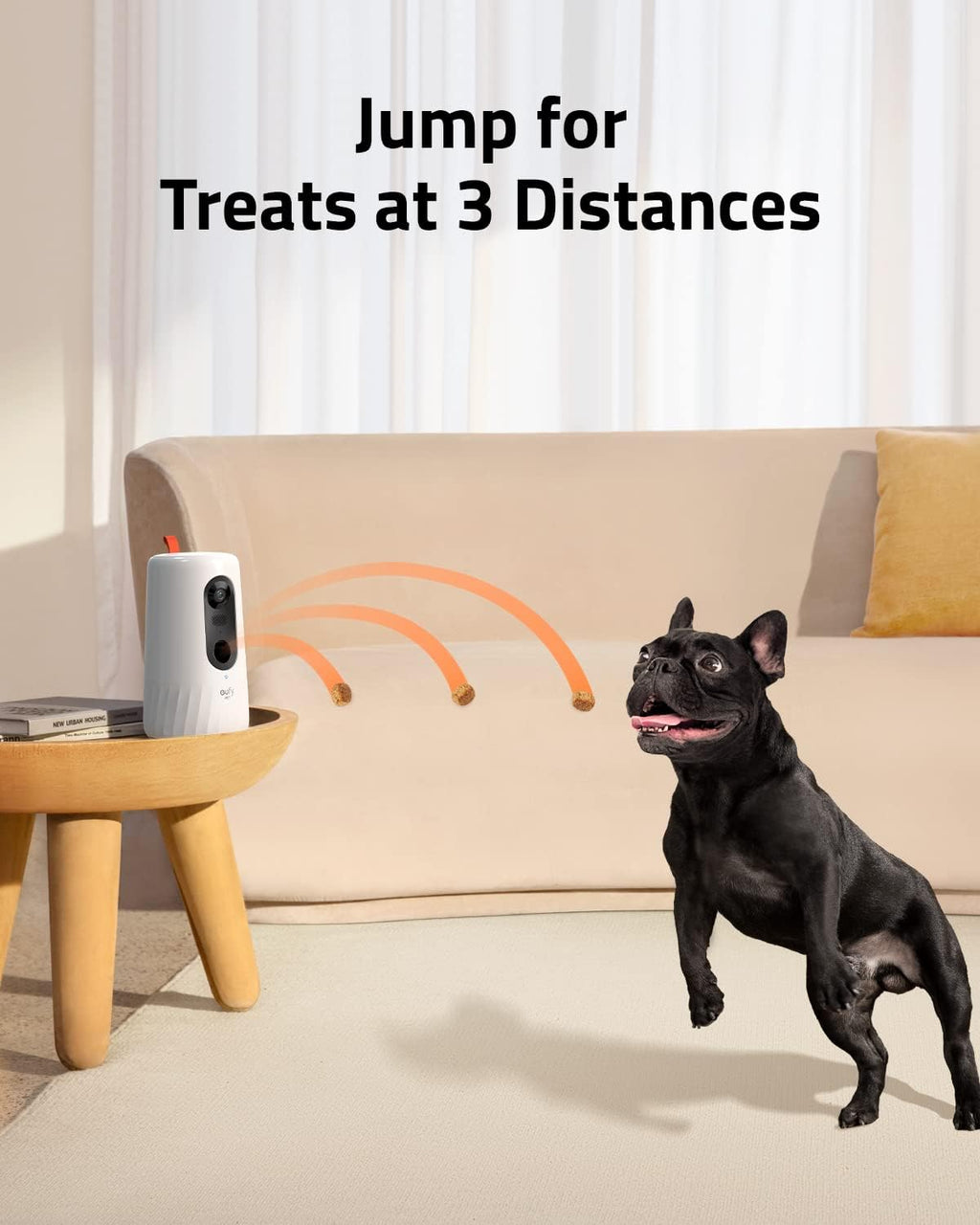 1080p Pet Dog Camera with Treat Dispenser O325