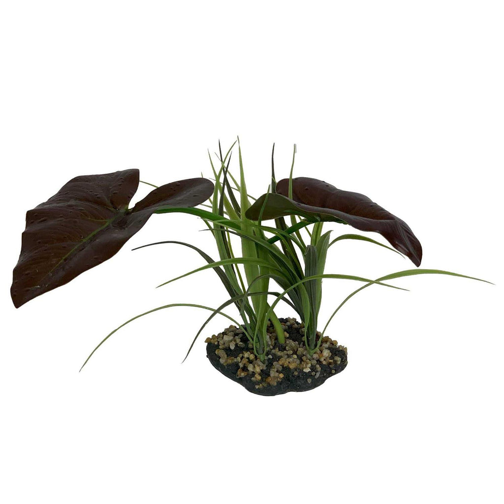 Canopy Plant P6060