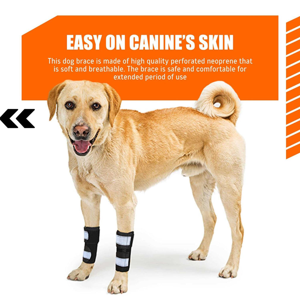 3-in-1 Dog Front Leg Brace with Rigid and Spring Inserts I293329