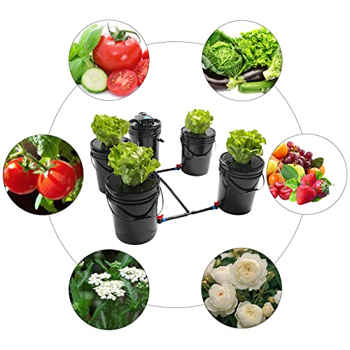 5 Gallon Deep Water Culture Hydroponic System N567998
