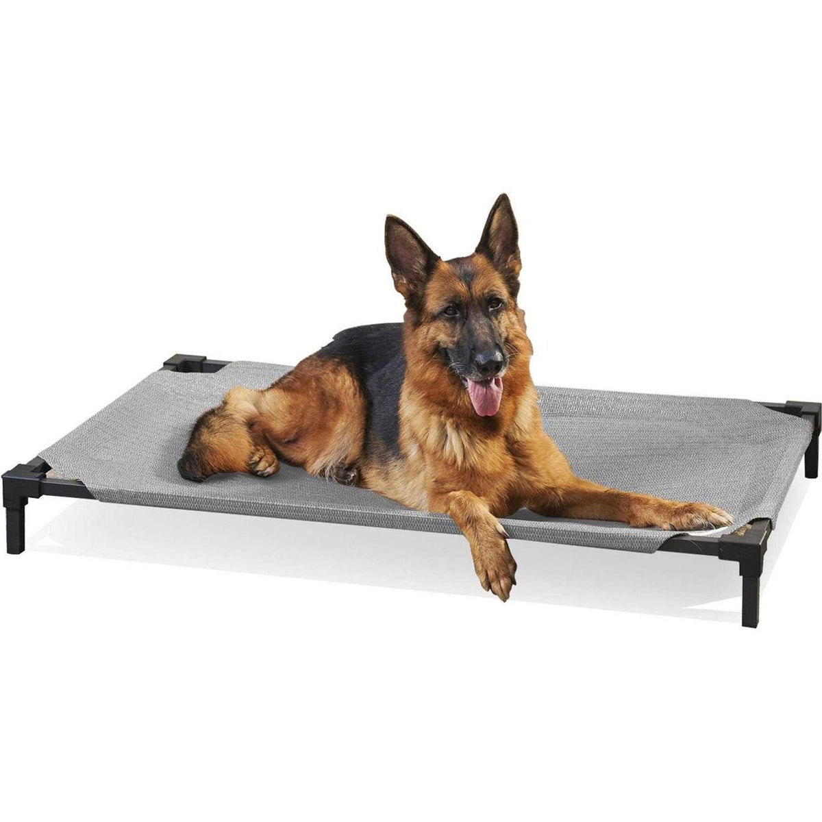 Elevated Pet Bed Z194244