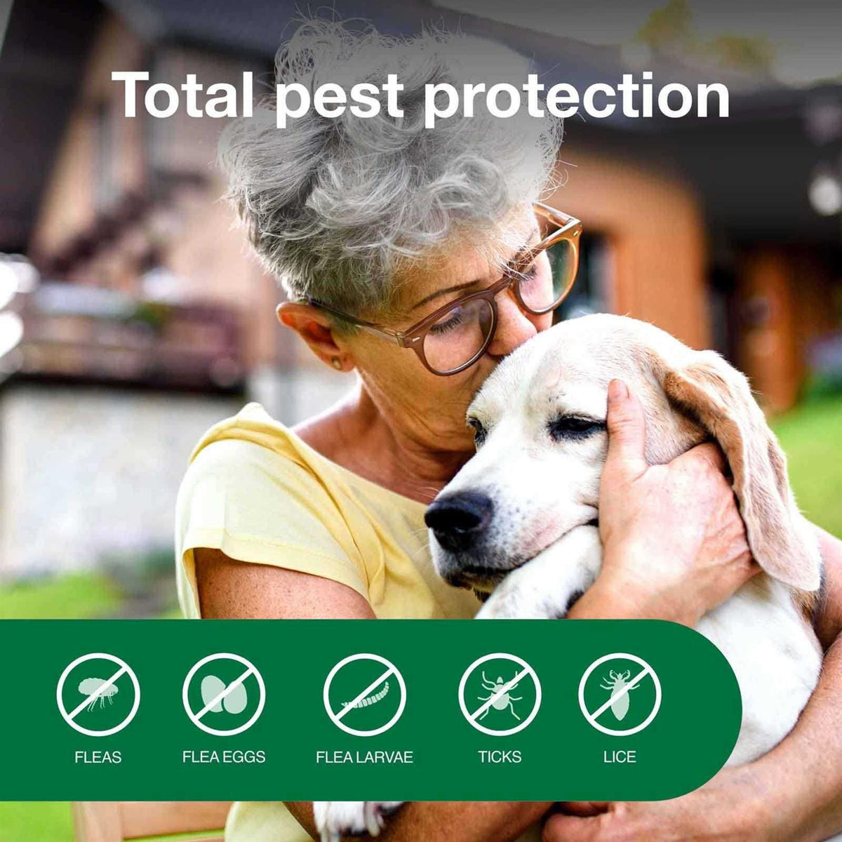 Flea & Tick Treatment Spray for Dogs S30611