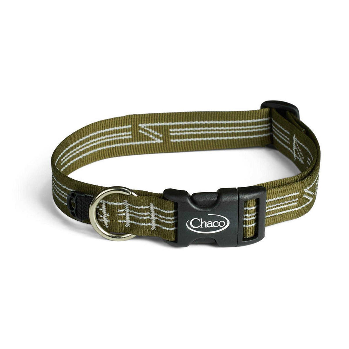 Dog Collar P538761