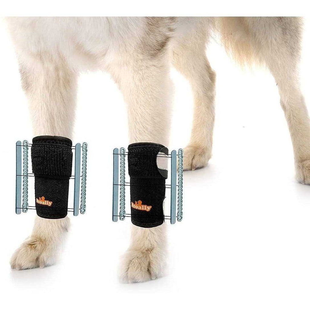 3-in-1 Dog Front Leg Brace with Rigid and Spring Inserts I293329