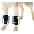 3-in-1 Dog Front Leg Brace with Rigid and Spring Inserts I293329