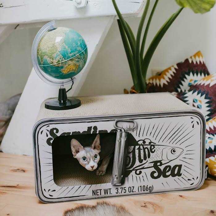 Cardboard Cat Scratcher Y8290