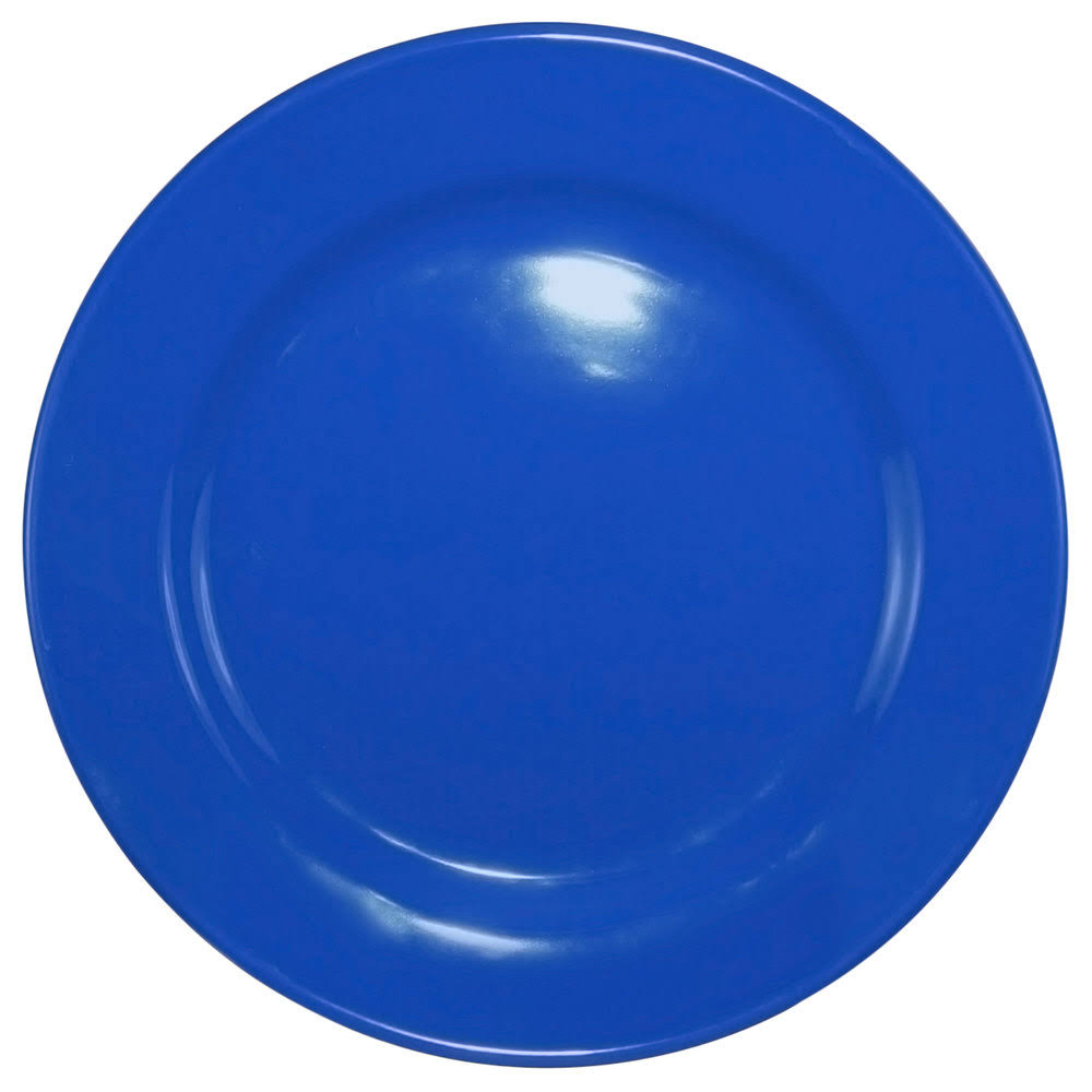 Light Blue Stoneware Wide Rim Plate W497
