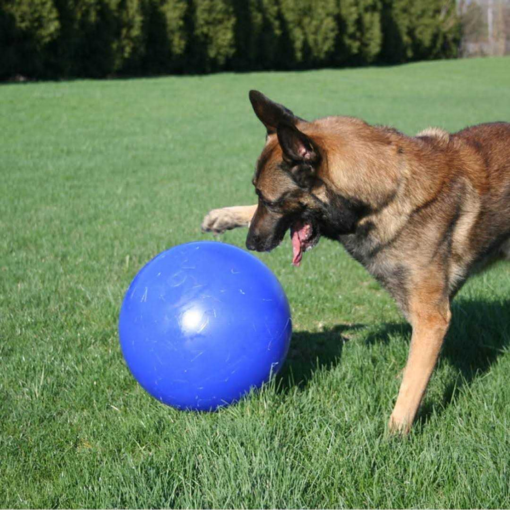 Push n Play Ball S155