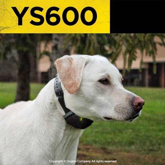 No Bark Collar L21108