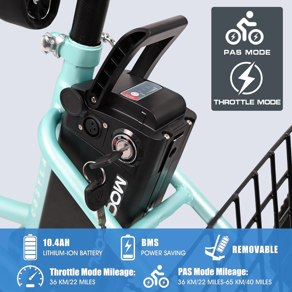 3 Wheel Electric Bike with Removable 36V 10Ah Lithium Battery Y858