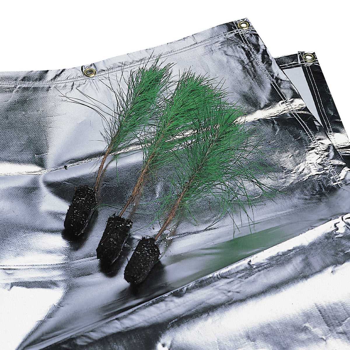 Seedling Protection Tarp, 9' x 15' A902