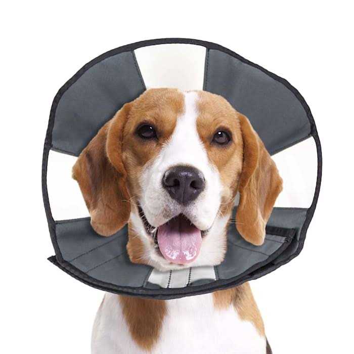 Soft Recovery Collar V26238