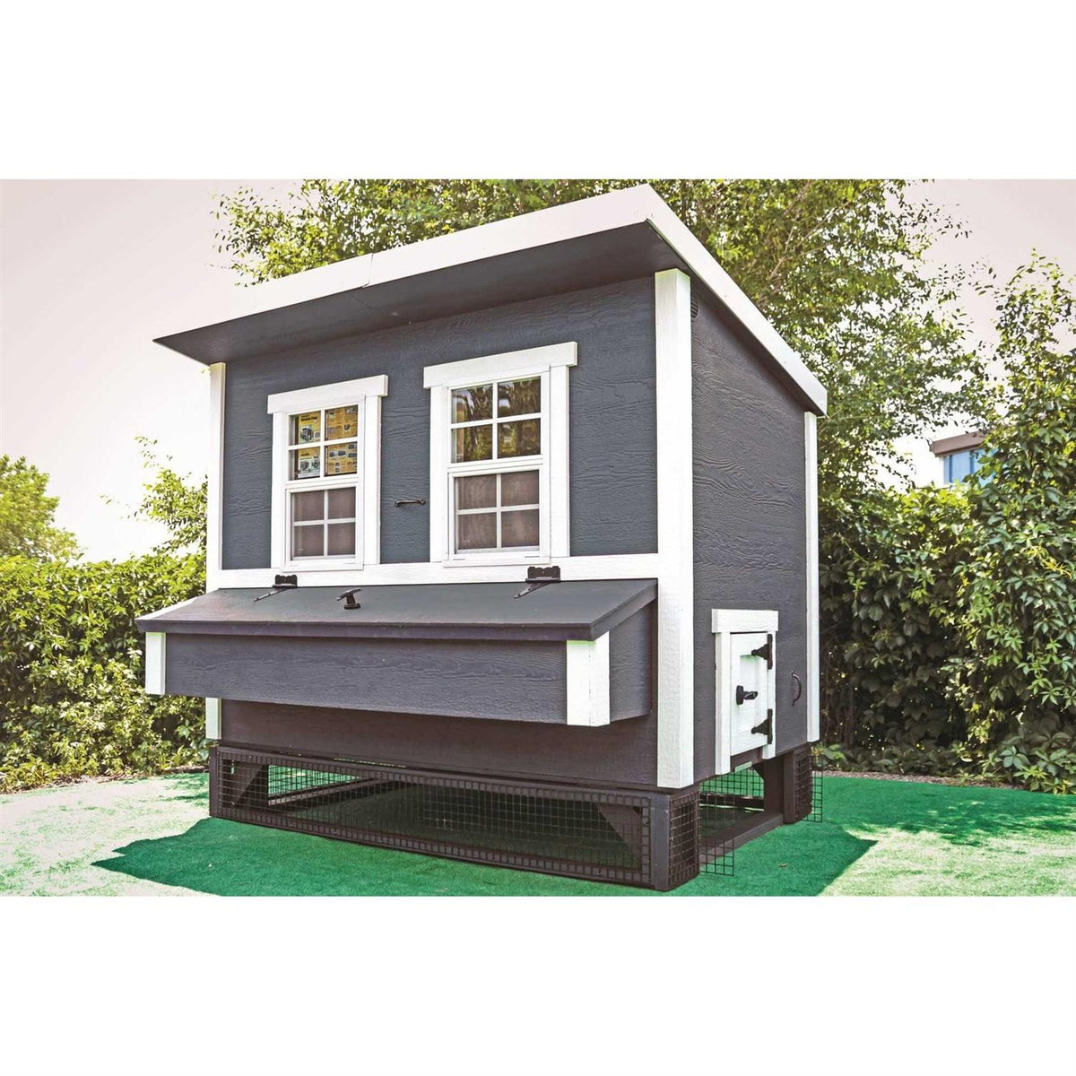 Chicken Coop P536