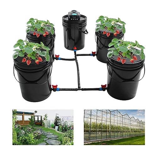 5 Gallon Deep Water Culture Hydroponic System N567998