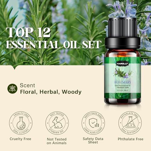 Essential Oils Set E341109