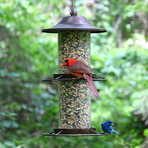 Panorama Bird Feeder U20977
