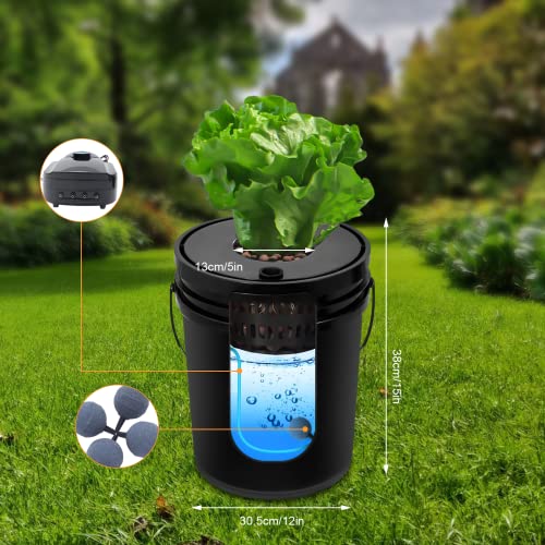 5 Gallon Deep Water Culture Hydroponic System N567998