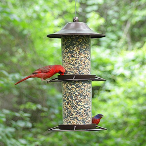 Panorama Bird Feeder U20977