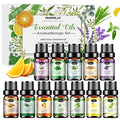 Essential Oils Set E341109