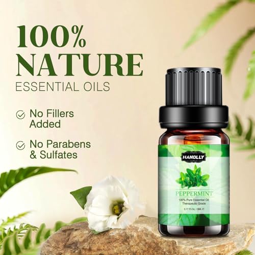 Essential Oils Set E341109