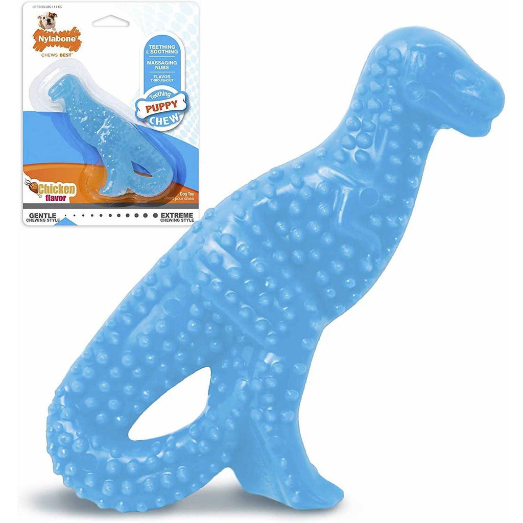 Dental Puppy Chew Toy K6269